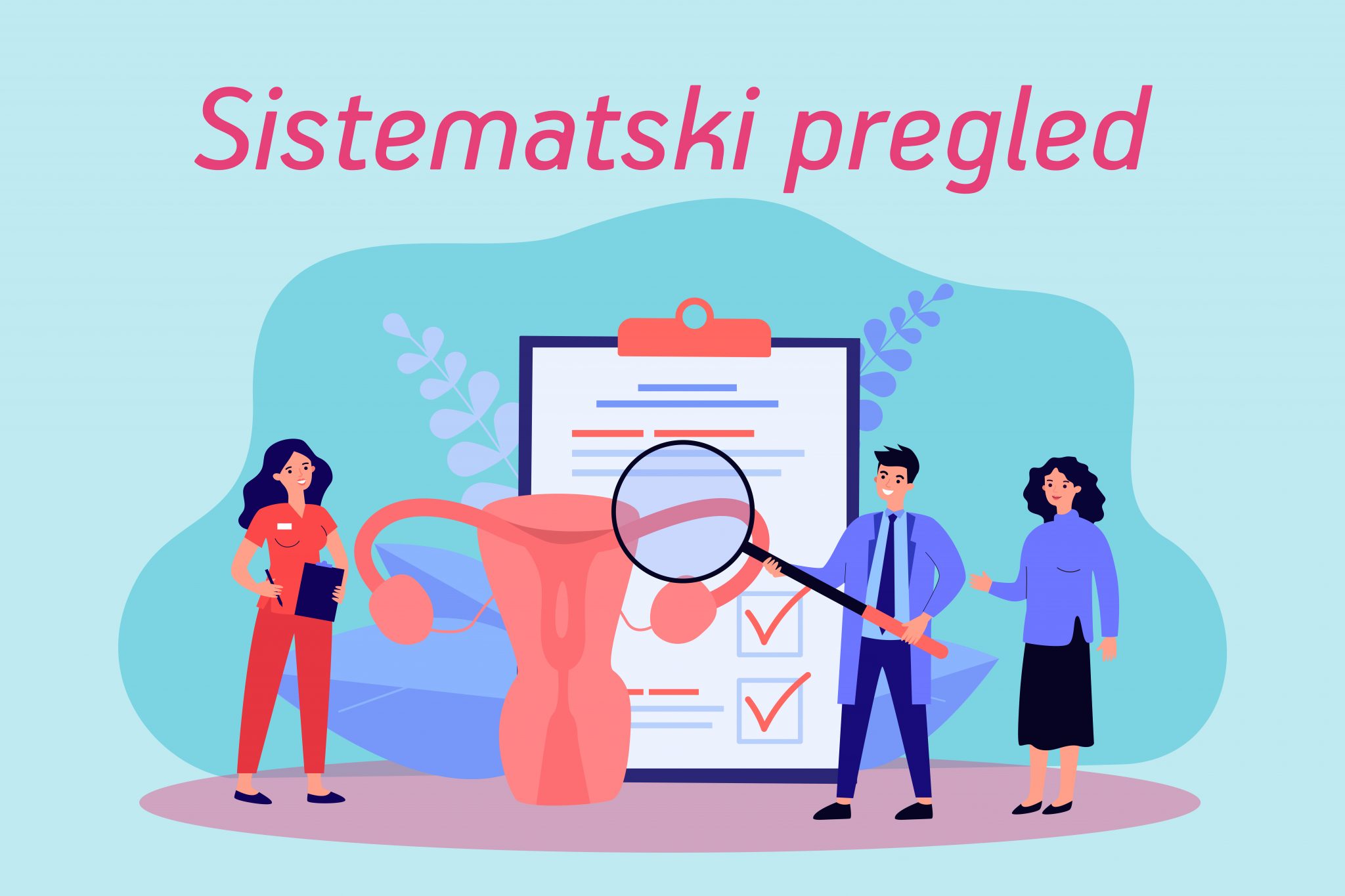 Sistematski Pregled - Mehmedbasic.ba