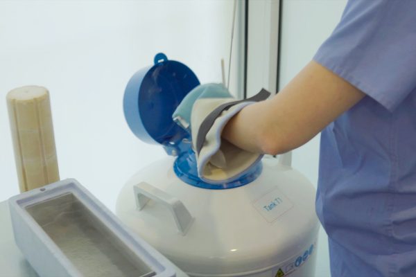 ICSI Sarajevo – intracitoplazmatska injekcija spermatozoida u IVF centru Mehmedbašić