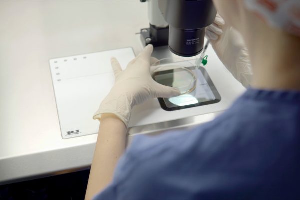 ICSI Sarajevo – intracitoplazmatska injekcija spermatozoida u IVF centru Mehmedbašić
